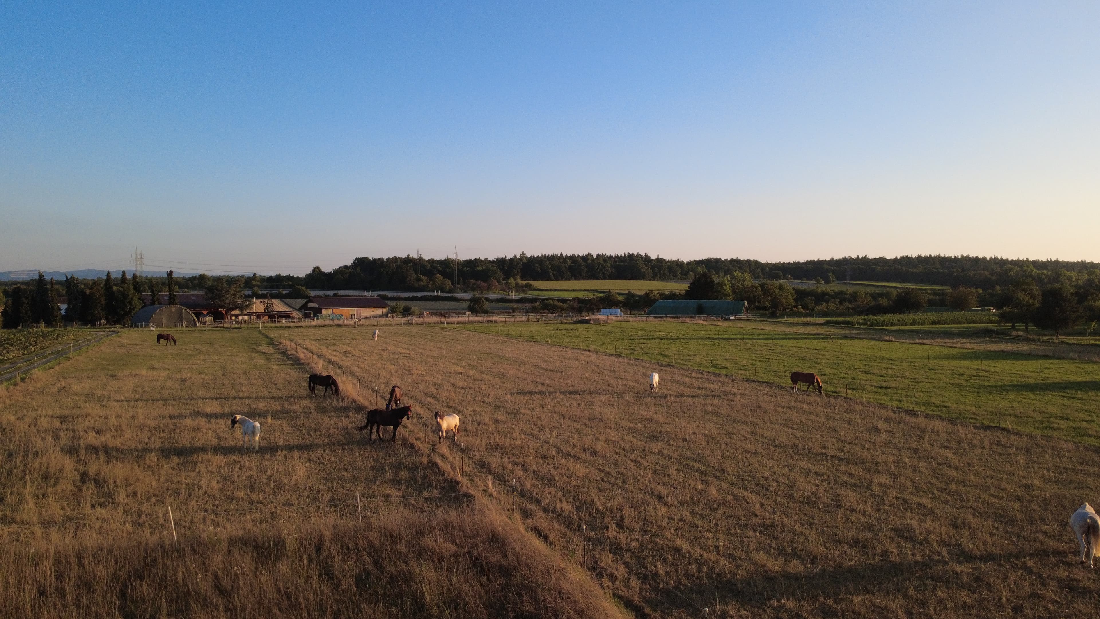 Weitläufige Flächen